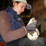 Your horse's hooves deserve a good bit of attention. HOVAKUTEN Angela Savoia