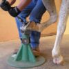 Hoofjack® Hoof Stand Standard - Bild 3