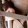 PFERD Hoof Plane 14" - Image 4