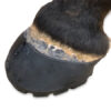EasyCare Easyboot Glove Shell Glue-On boot WIDE - Bild 4