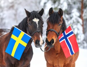 Hovvård och verkning i Norge och Sverige